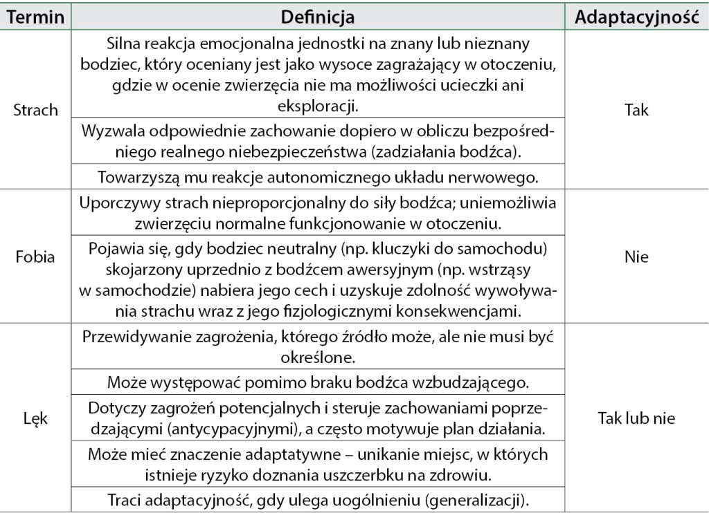 WWP_6_18_LEK_LOKOMOCYJNY_I_CHOROBA_LOKOMOCYJNA_TAB_1