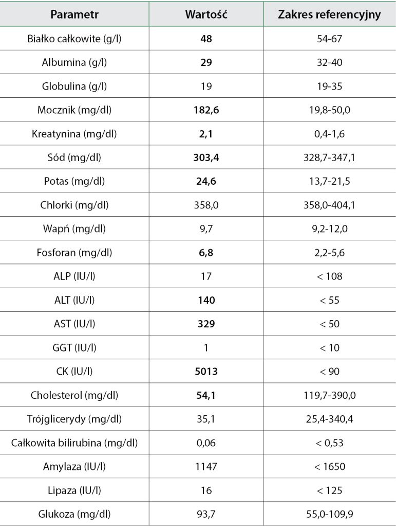 WWP_11_12_19_CIEKAWY_PRZYPADEK_PSA_TAB_1