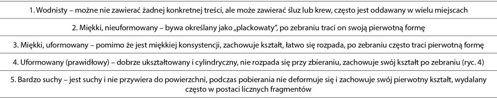 WWP_11_12_19_WYBRANE_ASPEKTY_DIAGNOSTYKI_BIEGUNEK_TAB_2