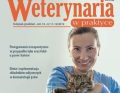 Weterynaria w Praktyce wydanie nr 11-12/2019 już w sprzedaży