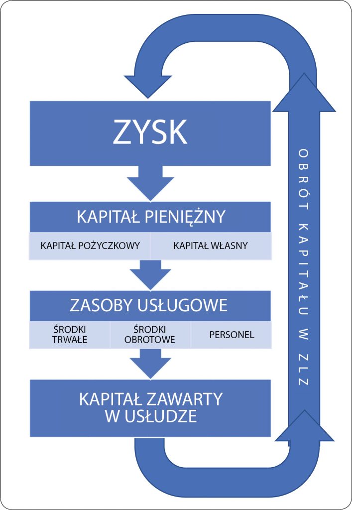 WWP_5_17_ANDRZEJ_LISOWSKI_ZAKLAD_LECZNICZY_DLA_ZWIERZAT_CZ_II_RYC_1