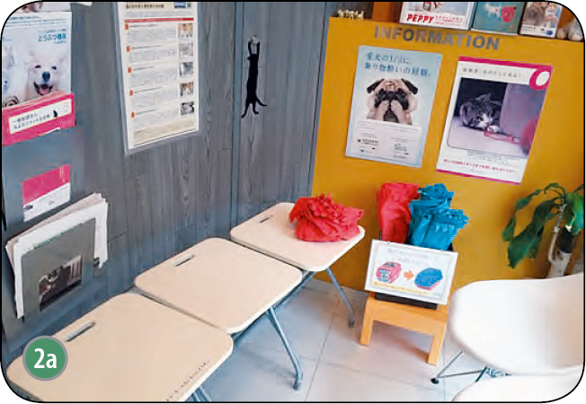 WWP_7_8_17_DLACZEGO_WARTO_KONCENTROWAC_SIE_NA_KOTACH_RYC_2_A Warto koncentrować się