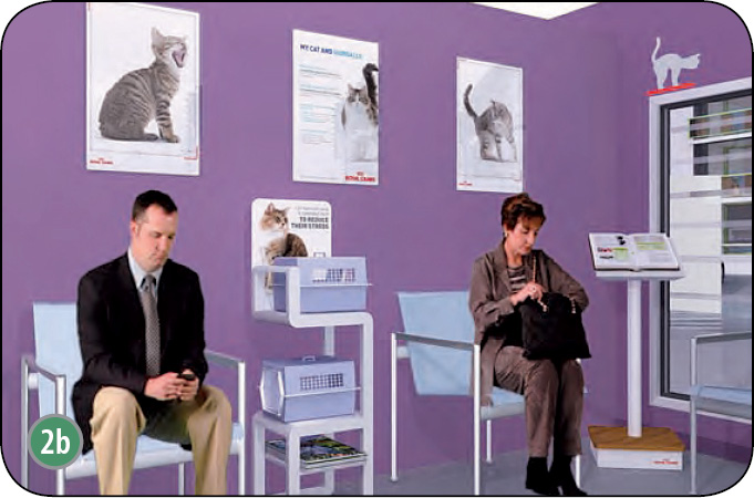 WWP_7_8_17_DLACZEGO_WARTO_KONCENTROWAC_SIE_NA_KOTACH_RYC_2_B Warto koncentrować się