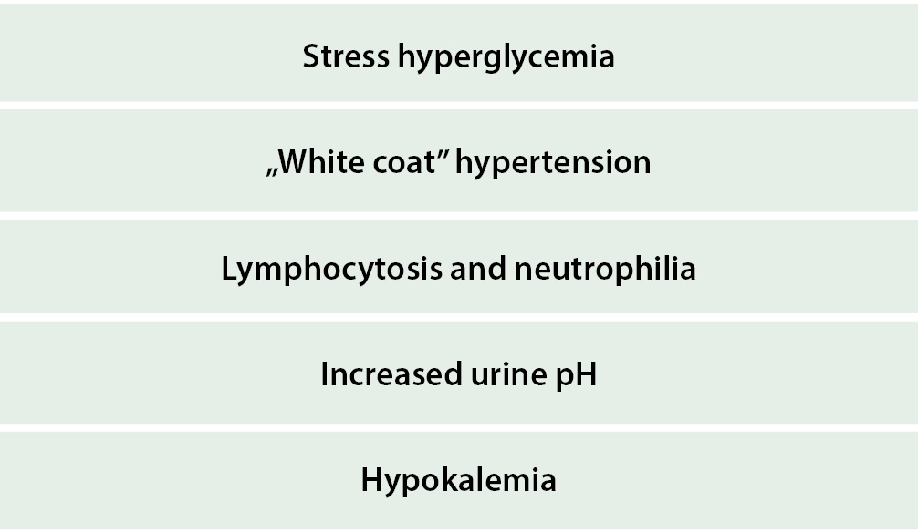 WWP_7_8_17_DLACZEGO_WARTO_KONCENTROWAC_SIE_NA_KOTACH_TAB_1(E)