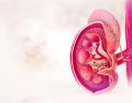 WWP_1_20_POSTEPOWANIE_ZYWIENIOWE_W_PRZYPADKU_PRZEWLEKLEJ_CHOROBY_NEREK_iStock-997687124