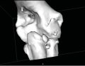 WWP_3_17_TERAPIA_ORTHOKINE_VET_IRAP_RYC_8