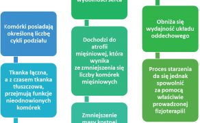 VET_PERSONEL_3_17_rehabilitacja_TERAPIA_PSOW_GERIATRYCZNYCH_RYC_1