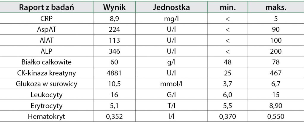 udaru niedokrwiennego móżdżku
