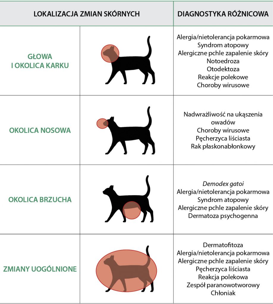 WWP_1-2_21_dermatologia_ZESPOL_EOZYNOFILOWY_U_KOTOW_TAB_2