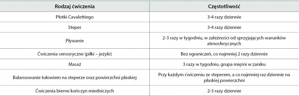 jak właściciel może wspierać rehabilitację
