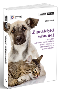 dzień książki