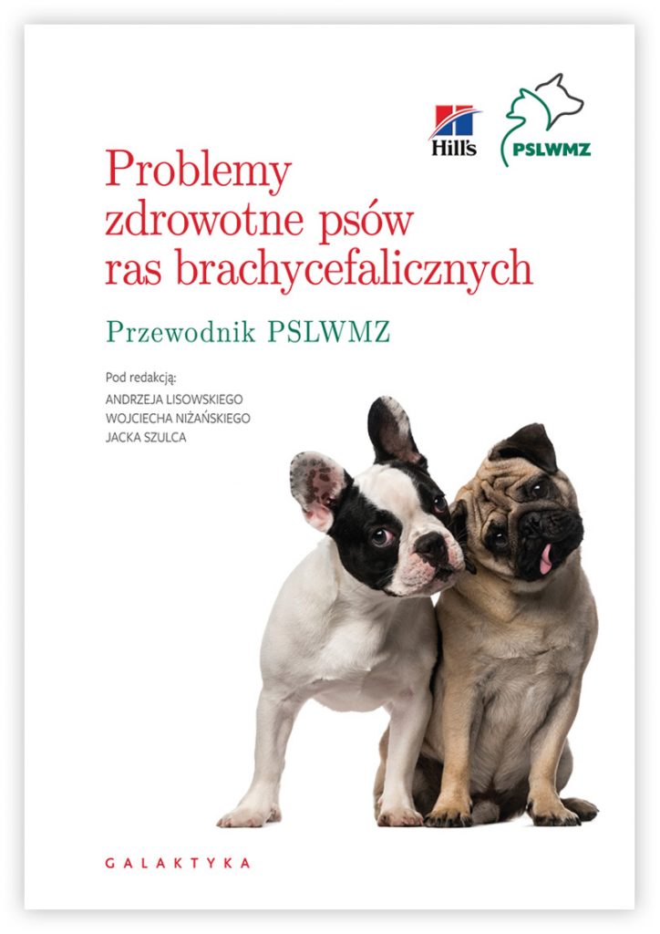 psy ras brachycefalicznych