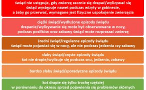 WWP_9_21_dermatologia_zaneta_listowska_SWIAD_SKORY_U_KOTOW_RYC_1