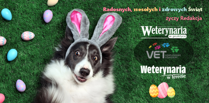 wesołych świąt