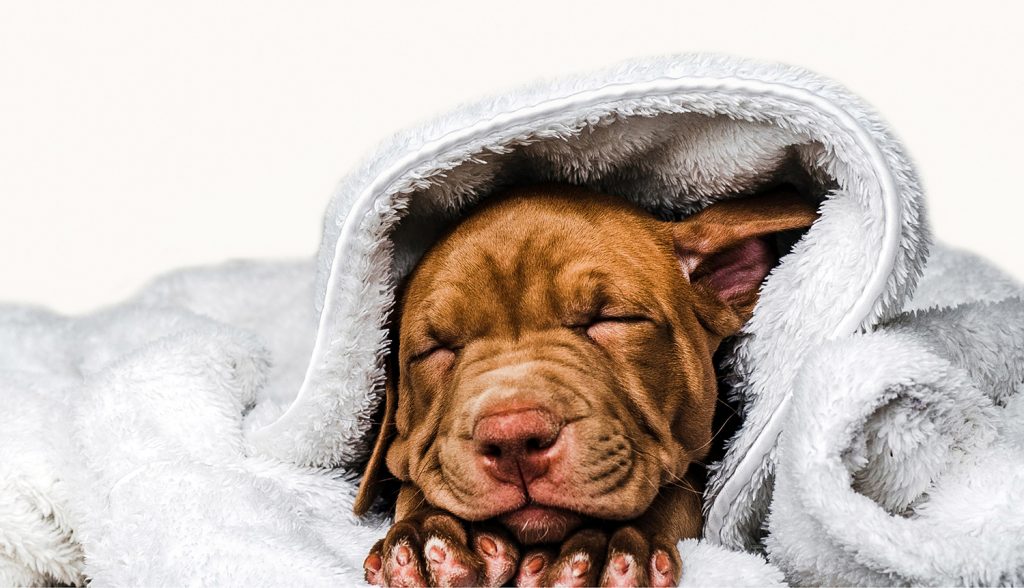 badanie kliniczne pacjenta pediatrycznego