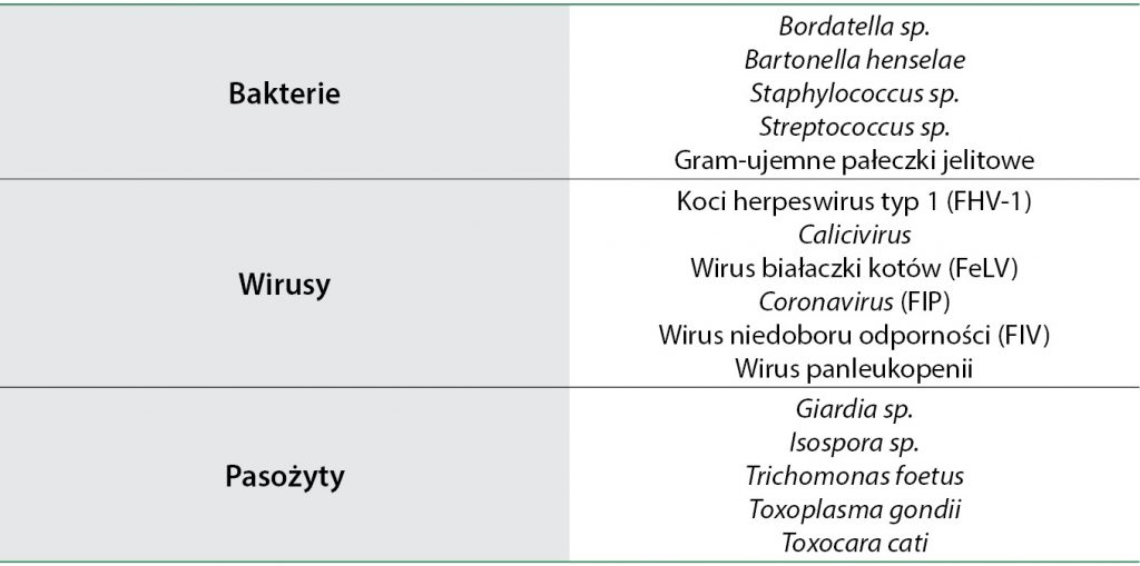 WWP_5_13_Michal_Dzieciol_SYNDROM_SLABNACEGO_KOCIECIA_TAB_4