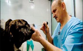 WWP_5_13_Malgorzata_Luczak_ZNIECZULENIE_DO_PROCEDUR_DIAGNOSTYCZNYCH_RYC_1