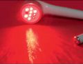 WWP_7_13_Adam_Wrobel_LASER_W_FIZJOTERAPII_WETERYNARYJNEJ_RYC_1