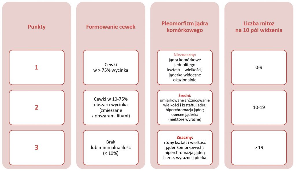 Przegląd możliwości diagnostycznych i terapeutycznych w przypadku guzów listwy mlecznej. Cz. I. Psy