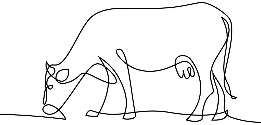 mastitis