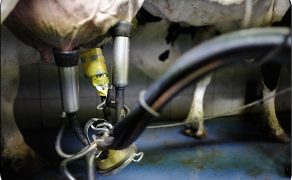 WWT_2_21_Przemyslaw_Blaszczyk_PRAWIDLOWE_DZIALANIE_SPRZETU_UDOJOWEGO_RYC_8