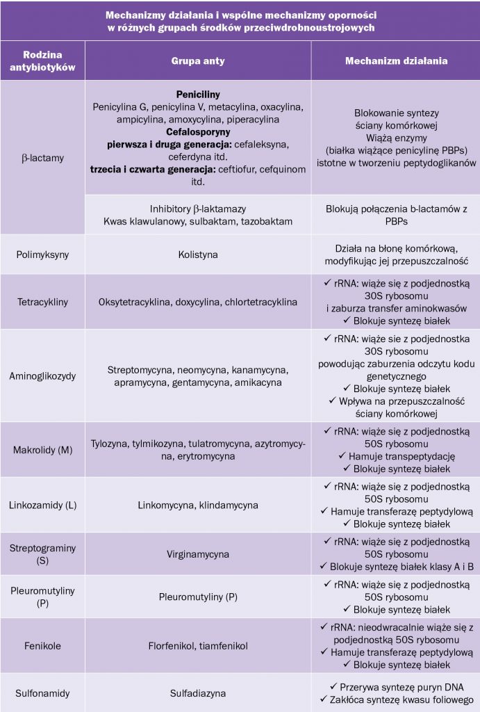 oporność drobnoustrojów