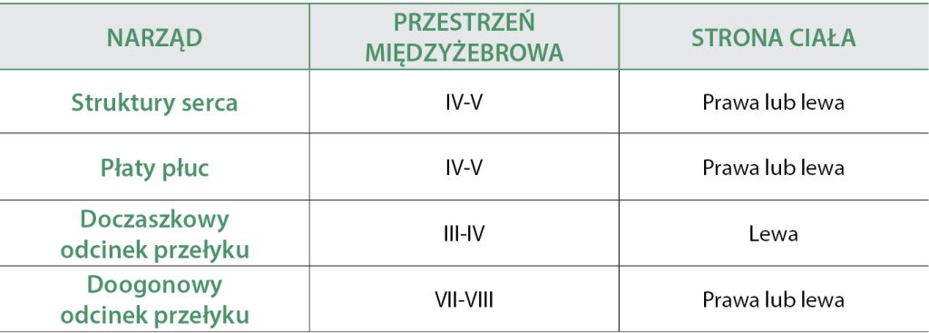 nowotwory