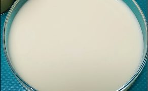 WWT_3_19_Monika_Olichwier_STOP_MASTITOM_LETNIE_ZAPALENIE_WYMIENIA_RYC_2