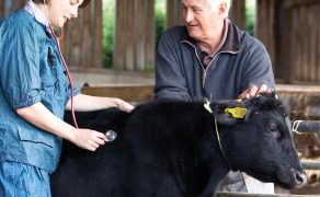 WWT_4_18_Lorenzo_Fraile_METODY_DIAGNOSTYCZNE_iStock-104286135