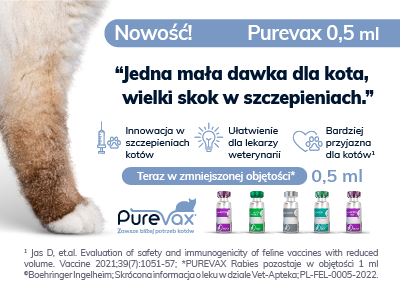 ibd