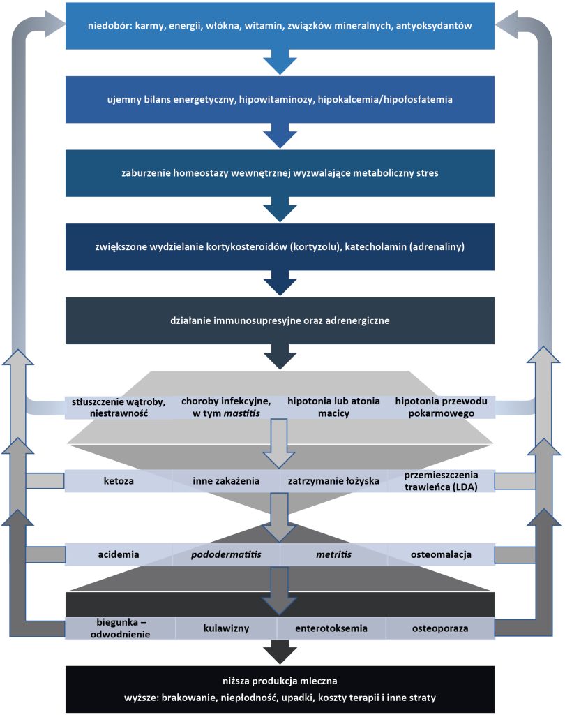 WWT_1_18_Ryszard_Mordak_ZDROWIE_I_PRODUKCYJNOSC_KROW_MLECZNYCH_RYC_2