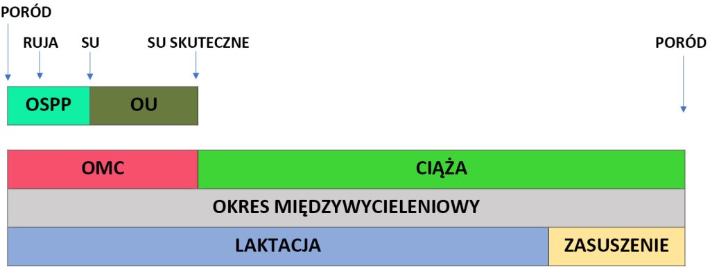 WWT_2_18_Konrad_Zalewski_ROZROD_W_STADACH_BYDLA_MLECZNEGO_RYC_1