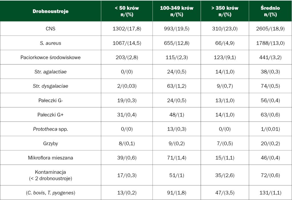 Antybiotykooporność