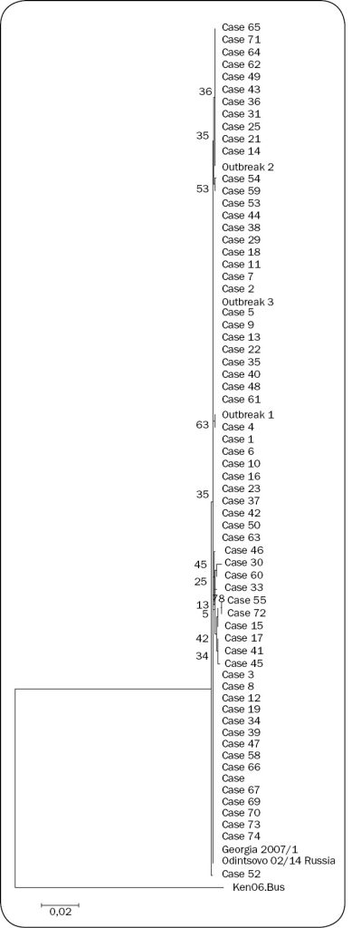 WWT_4_15_Zygmunt_Pejsak_DIAGNOSTYKA_LABORATORYJNA_CHOROB_SWIN_RYC_1
