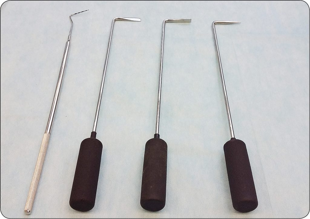 WWT_4_16_Piotr_Los_WPROWADZENIE_DO_STOMATOLOGII_KONI_RYC_3