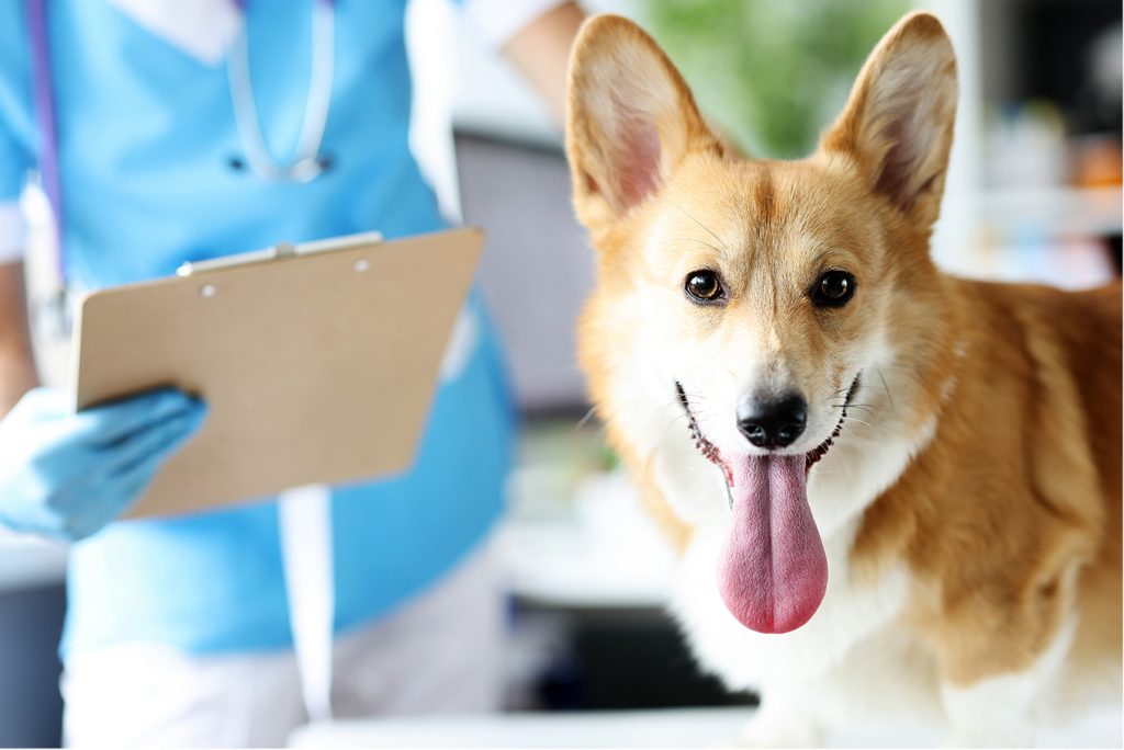 karty informacyjne wizyt