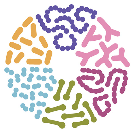 preparaty wspomagające układ pokarmowy