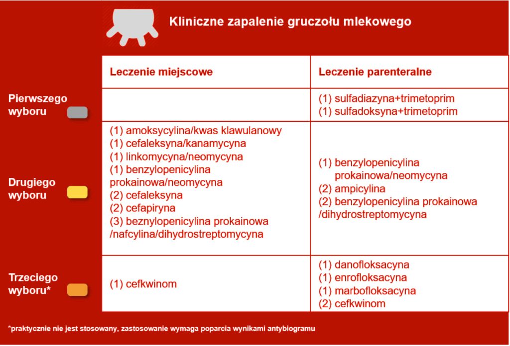 Leczenie mastitis
