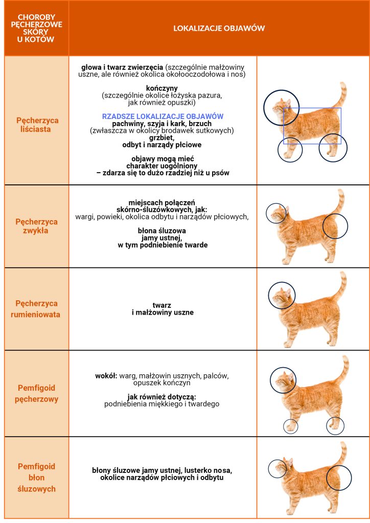 Autoimmunologiczne choroby skóry