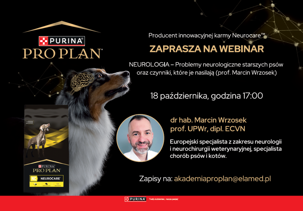 webinar