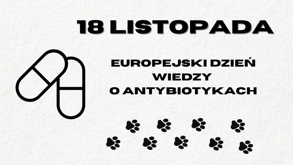 18 listopada Europejski dzień wiedzy o antybiotykach