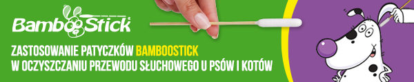 Zastosowanie patyczków BambooStic w oczyszczaniu przewodu słuchowego u psów i kotów