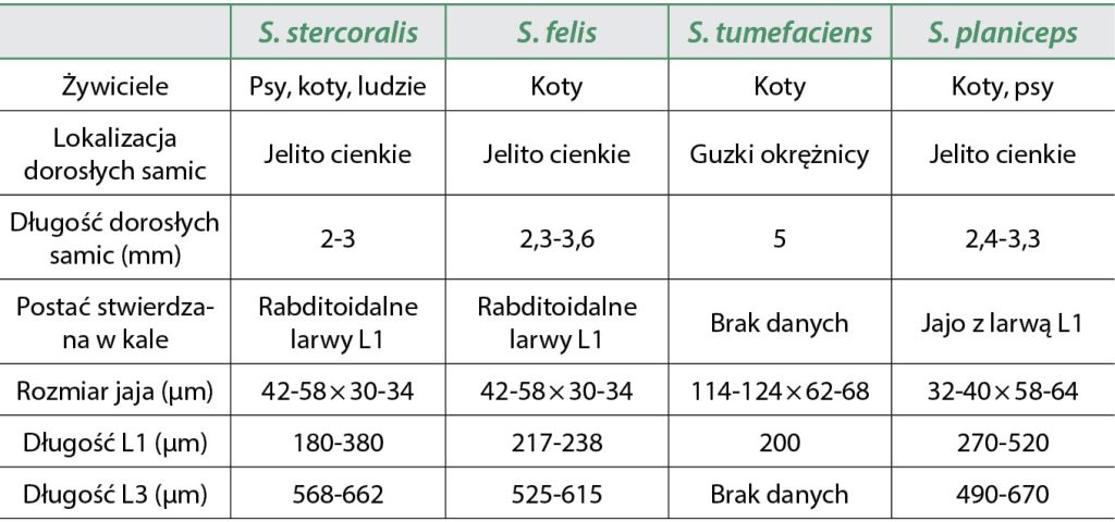 WWP_1-2_24_Klaudiusz_Szczepaniak_WEGORCZYCA_PSOW_I_KOTOW_TAB_1 Węgorczyca 