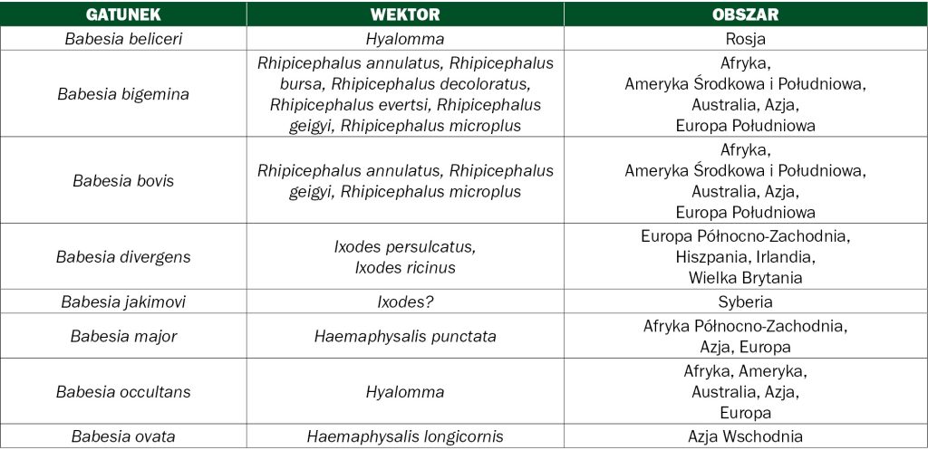 WWT_1_24_Lukasz_Adaszek_BABESZJOZA_BYDLA_TAB_1