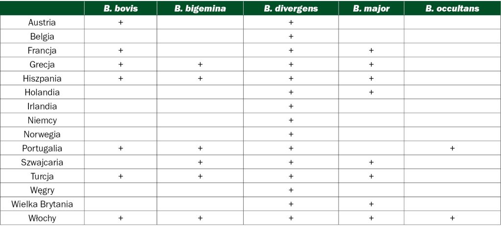WWT_1_24_Lukasz_Adaszek_BABESZJOZA_BYDLA_TAB_2