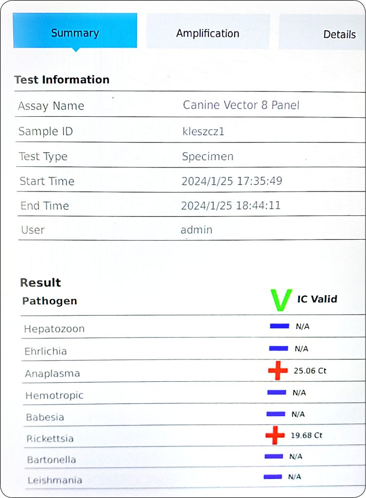 WWP_3_24_Lukasz_Adaszek_KLESZCZE_JAKO_WEKTORY_RICKETTSIA_RYC_4 rickettsia