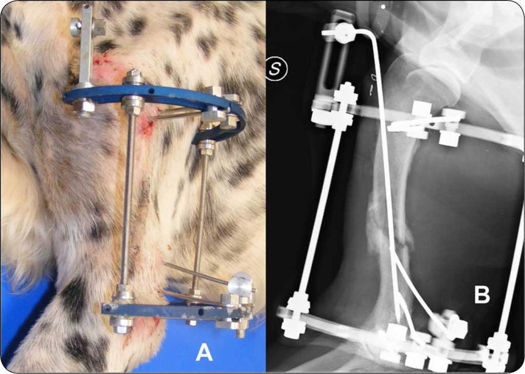 WWP_3_24_María_Jiménez-Heras_PROPOZYCJA_KLASYFIKACJI_KONSTRUKCJI_HYBRYDOWYCH_RYC_3 złamań