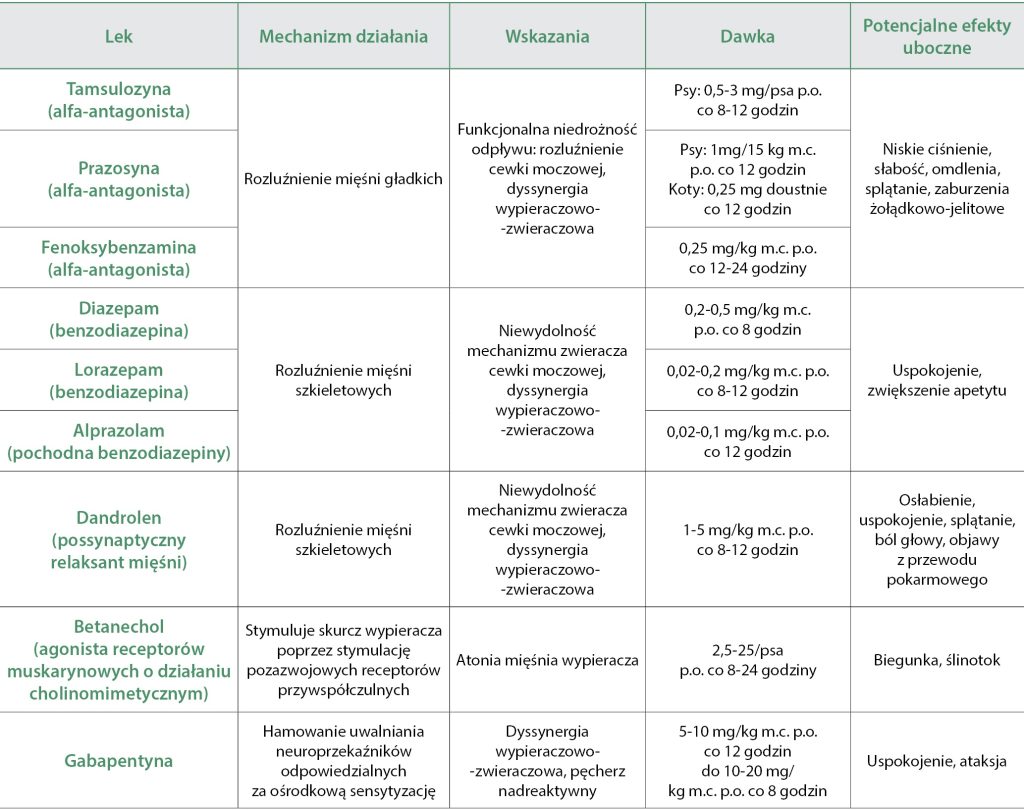 Podstawy zaburzeń oddawania moczu