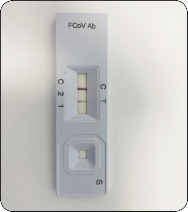 WWP_3_24_Lukasz_Adaszek_ZAKAZNE_ZAPALENIE_OTRZEWNEJ_U_KOTOW_RYC_3