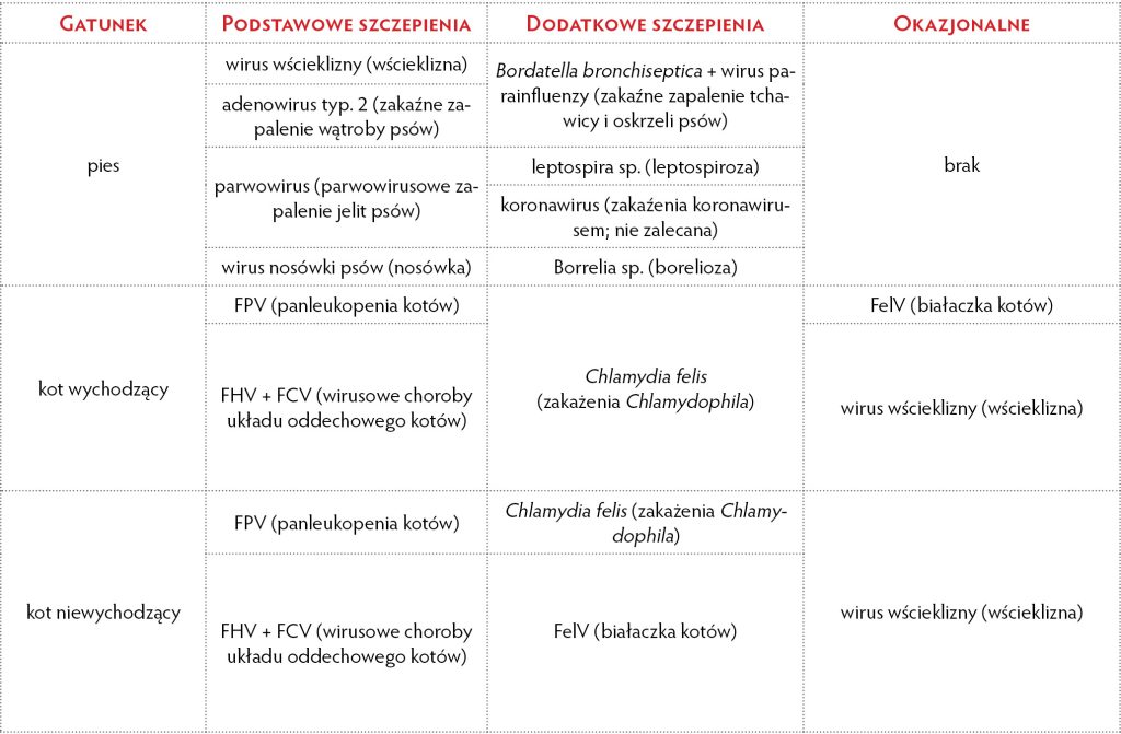 VET_PERSONEL_2_16_Beata_Kolodziejczyk_ZAGRANICZNE_PODROZE_TAB_2